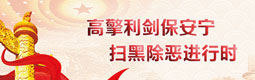 高擎利劍保安寧